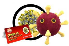 giant microbes dna