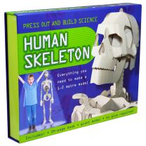 Human Skeleton-Press Out & Build