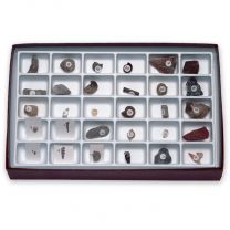 Advanced Fossils Collection