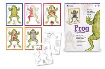 Frog Flip Chart