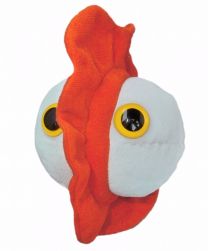 GIANT Microbes-Chicken Pox