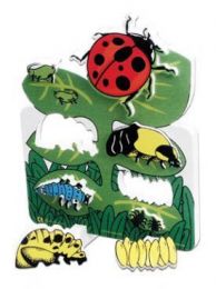 Book plus models - ladybug lifecycle