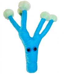 GIANT Microbes-Penicillin
